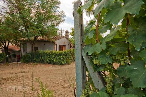 Agriturismo Villino del Grillo - image 7