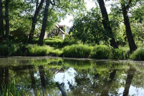 Fachwerkhaus am Fluss