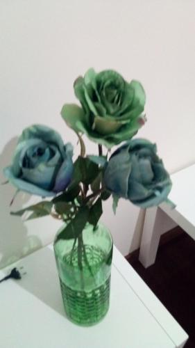  Baron´S House, Unterkunft in Vila Nova de Gaia