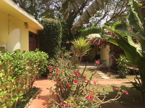 Beaux Studios a Dakar