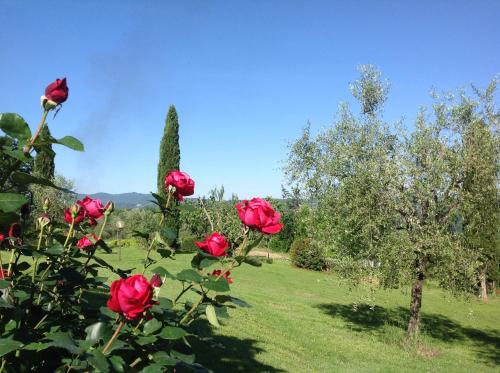  Terre Di San Gorgone in Donnini