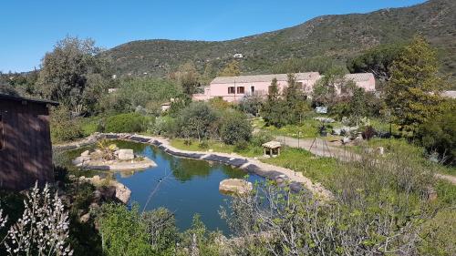 La Fattoria Delle Tartarughe - image 12