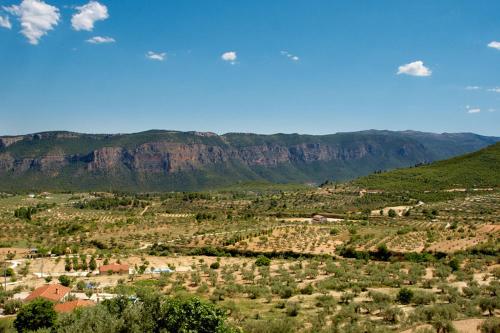 El Tejo Yeste y Mirador del Segura