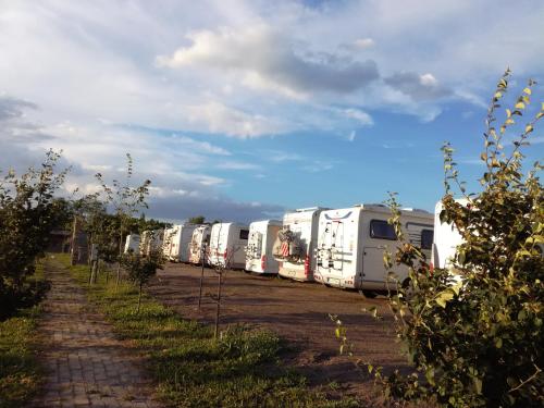 Camp Salas Farma 47 Cenej - Novi Sad