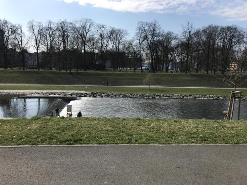 Surrounding environment, ZLATA-ERA in Slezska Ostrava