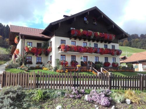 Nussbaumer am Irrsee - Hotel - Tiefgraben