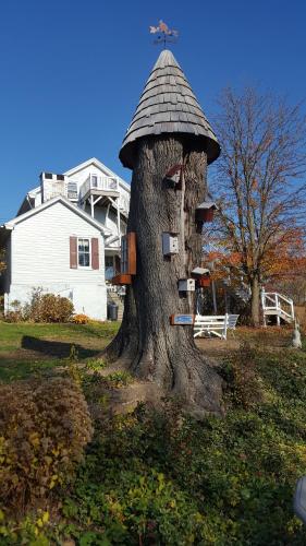 The Artist's Inn and Gallery - image 9