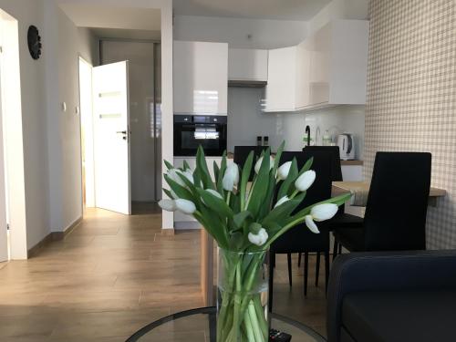 Apartamenty AP 8 - Apartment - Częstochowa