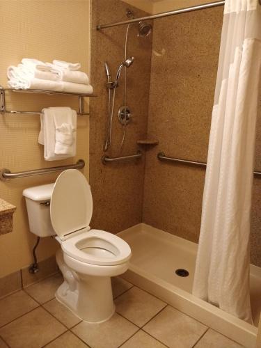 King Room with Mobility Accessible Trans Shower