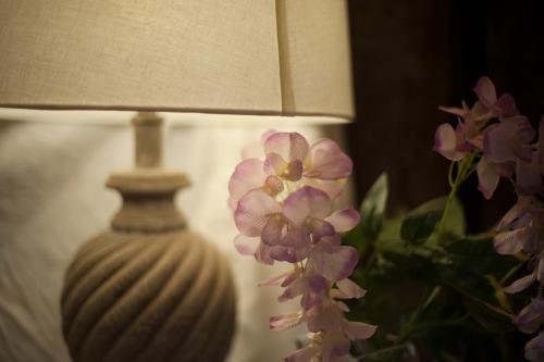 Les Chambres de Amelie B&B – Bologna, KY