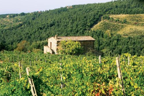 Agriturismo Piemaggino - Hotel - Castellina in Chianti