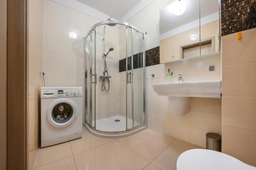 One-Bedroom Apartment image 5