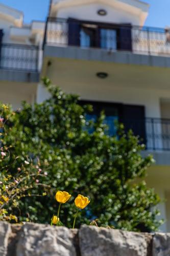Apartments Miramar - image 12