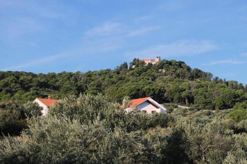 Apartments by the sea Tkon Pasman - 5825 - image 8