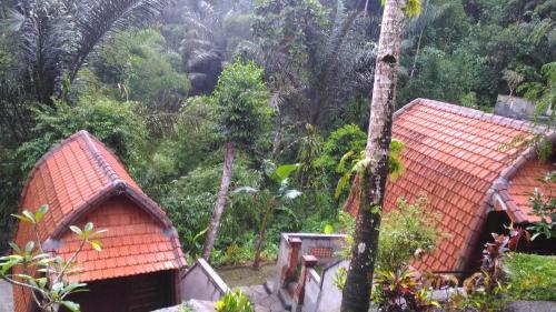 Bali Jungle Resort