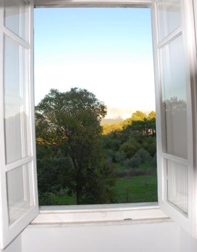 La Nipitella 4