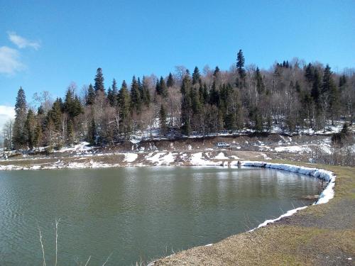 U Nasti Guesthouse - image 6