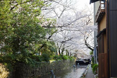 YADORU KYOTO HANARE Gojo Takase-an YADORU KYOTO HANARE Gojo Takase-an图片