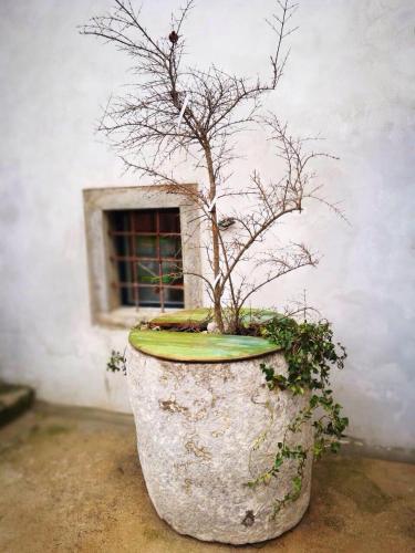 cres art studio lime apartment 4