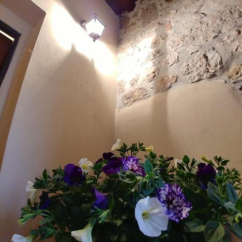  Casa Tato in Alatri