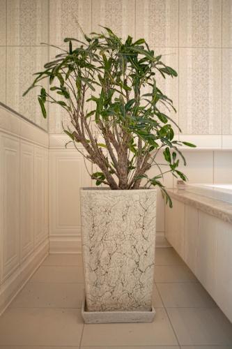 M Hotel Sosnowiec - image 3