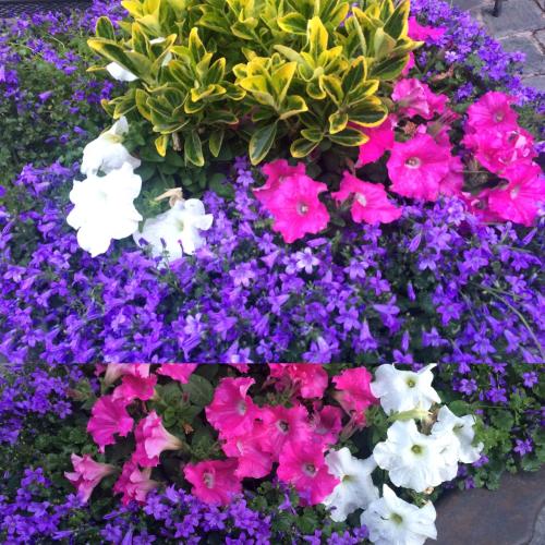 Hotel Estanys Blaus - main image