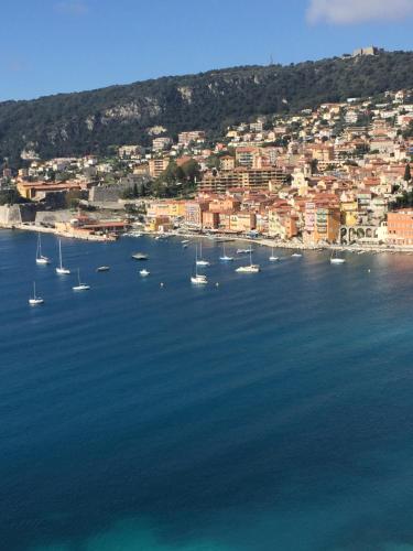 Seagulls, Villefranche-sur-Mer (fotografie 4)