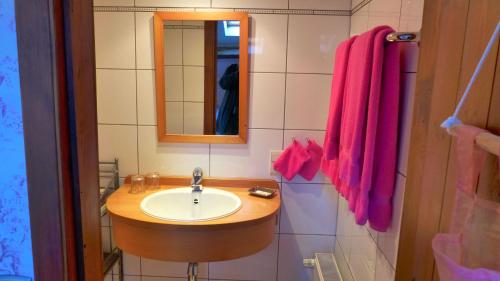  Les Alisiers in Vresse-sur-Semois