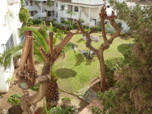 Apartamentos Pueblo Quinta - image 2