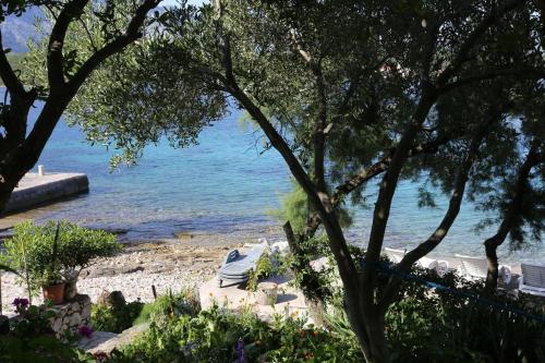 Apartments by the sea Korcula - 10041 - image 3