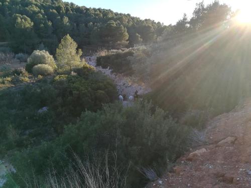 Pou De Beca Allotjaments i agroturisme - image 9