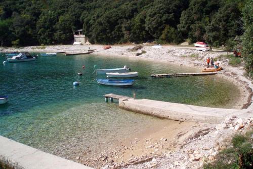 Family friendly apartments with a swimming pool Manjadvorci Marcana - 2209 - image 7