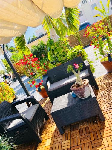Oasis Hotel - main image