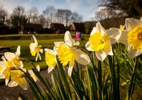 River Edge Lodges - image 8