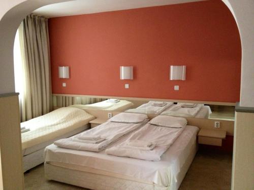 Family Hotel Gran Ivan - image 9