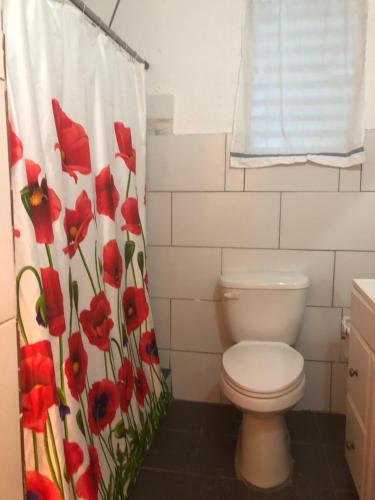 Vieques Good Vibe Guest House - image 44