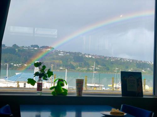 Harbourview Stadium Hotel in North Dunedin