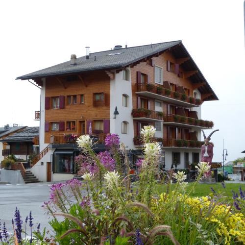 Hotel Ermitage Verbier - image 13