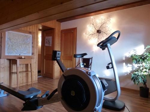 Hotel Ermitage Verbier - image 2