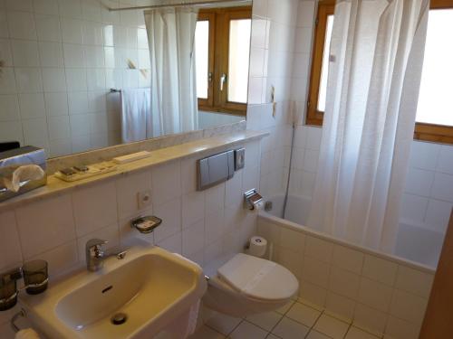 Hotel Ermitage Verbier - image 4