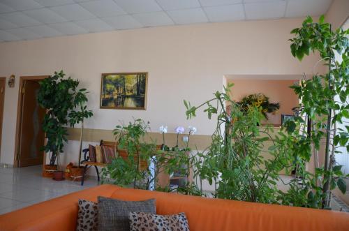 Hotel Senoval - image 3