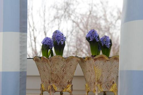 Hotel Forelle Garni - image 2
