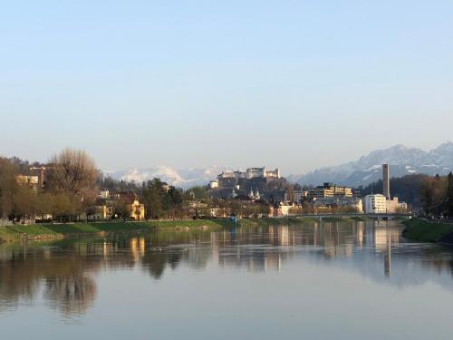 Salzburg Apartments Business