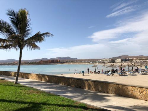 Hotel Ereza Mar - image 5