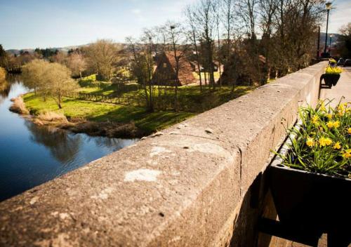 River Edge Lodges - image 11