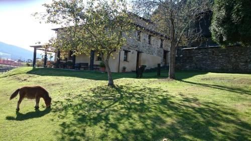 Casa Carballeira