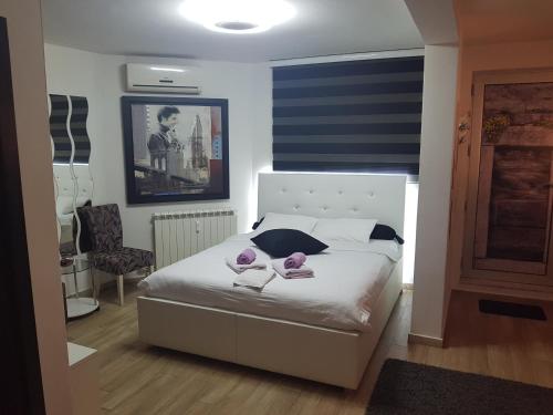 Prima Apartmani Beograd - main image