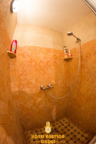 巴比伦达德斯旅舍 巴比伦达德斯旅舍