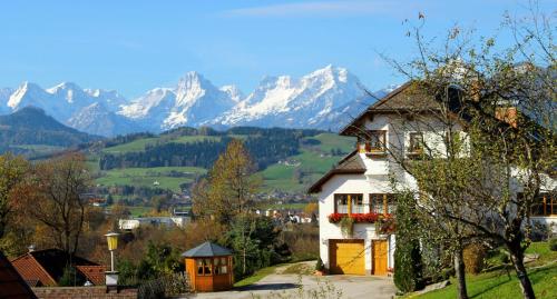 Haus Löger - Apartment - Windischgarsten