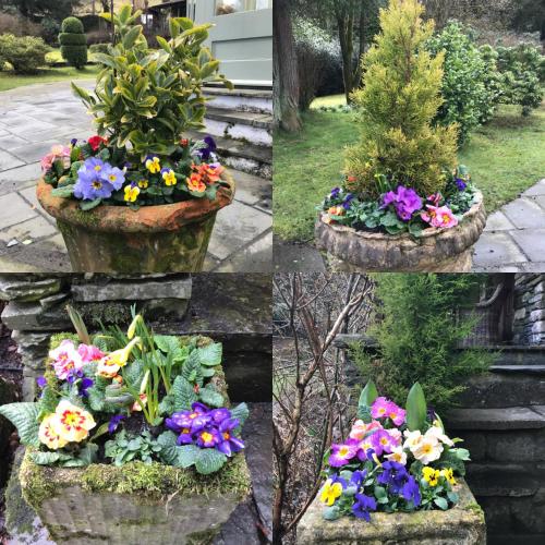 Walker Ground Manor, Hawkshead (fotografie 9)